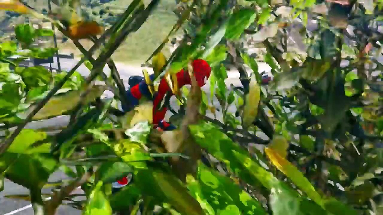 Comptines bébé - Moto, voiture drôle de police et Spiderman Mcqueen. Dessin animé francais