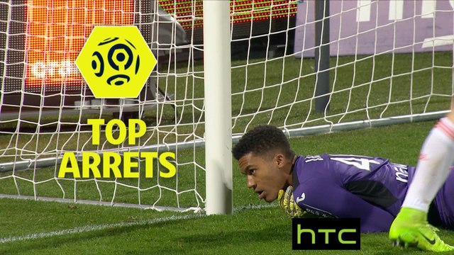 Top arrêts 24ème journée - Ligue 1 / 2016-17