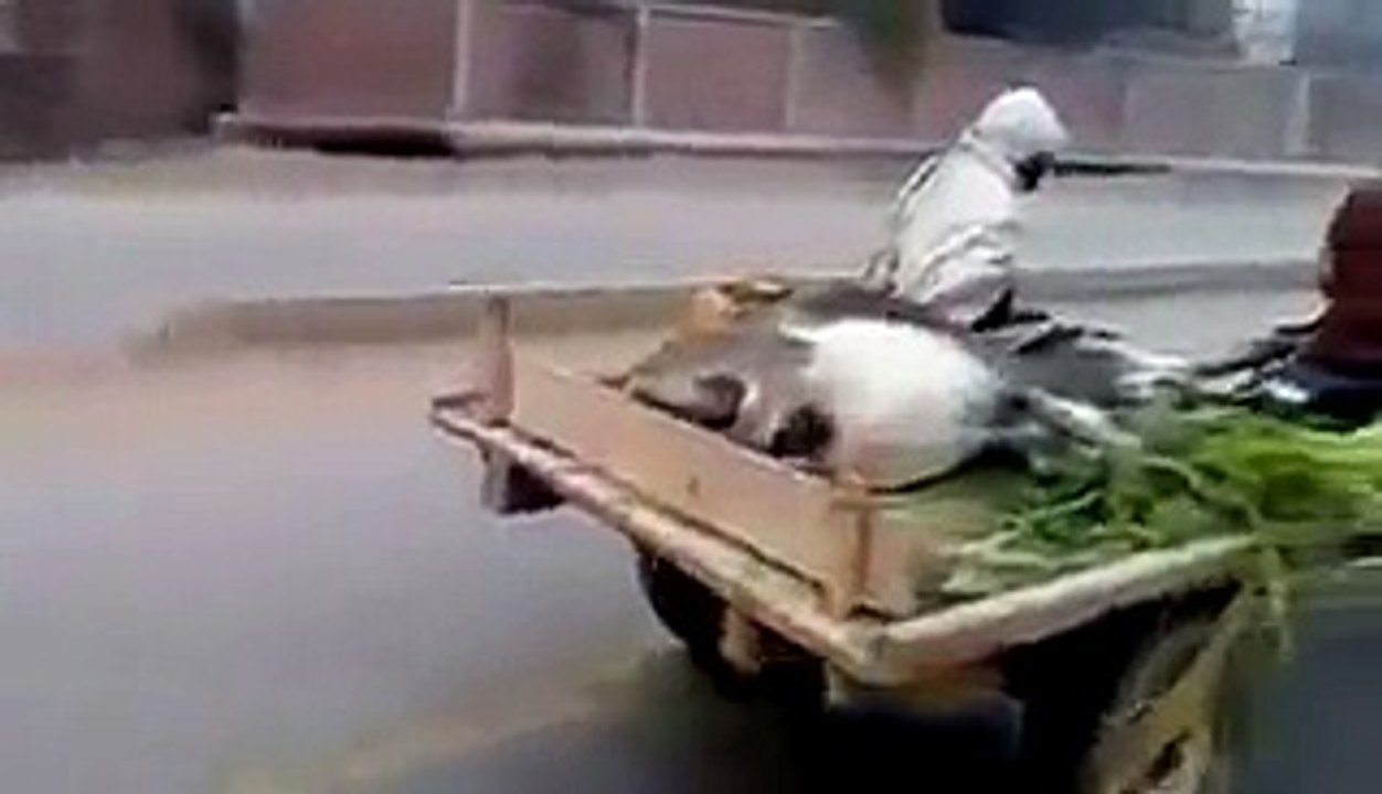 GADHA GARI KA NEW MODEL AA GYA
