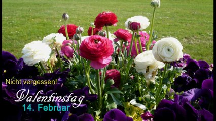 Am 14.Februar ist Valentinstag