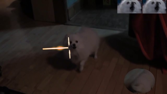 Marche Imperiale Star Wars chantée par un chien ! Gabe le chien