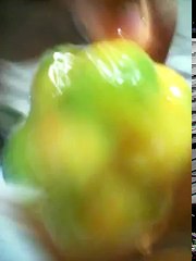 Joes hot pepper challenge