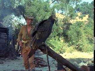 151. Daniel Boone   S06E13   An Angel Cried