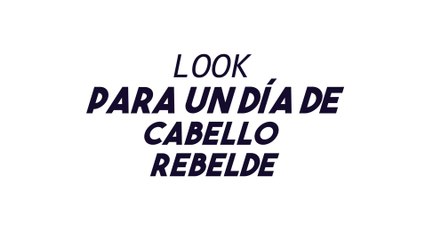 Tutorial - Peinado Cola alta