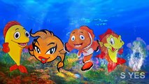 Fish Finger Family Rhymes For Children | Popular 3D Animated Nursery Rhymes For Kids