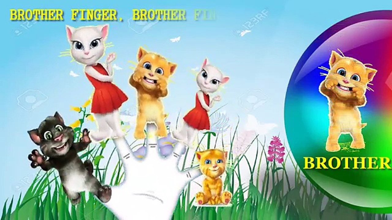 Talking Tom Finger Family Song [Nursery Rhyme] Finger Family Fun | Toy PARODY