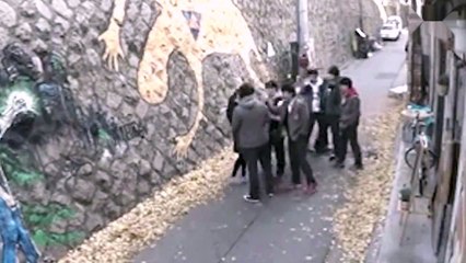 Studenta a fost așteptată la colțul străzii de 10 huligani. Din păcate pentru ei, practica luptele încă de mică!