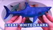 Learning SHARK and Sea Animals Names and Sounds For Kids in English | SURPRISE TOYS Shark VS Octupus