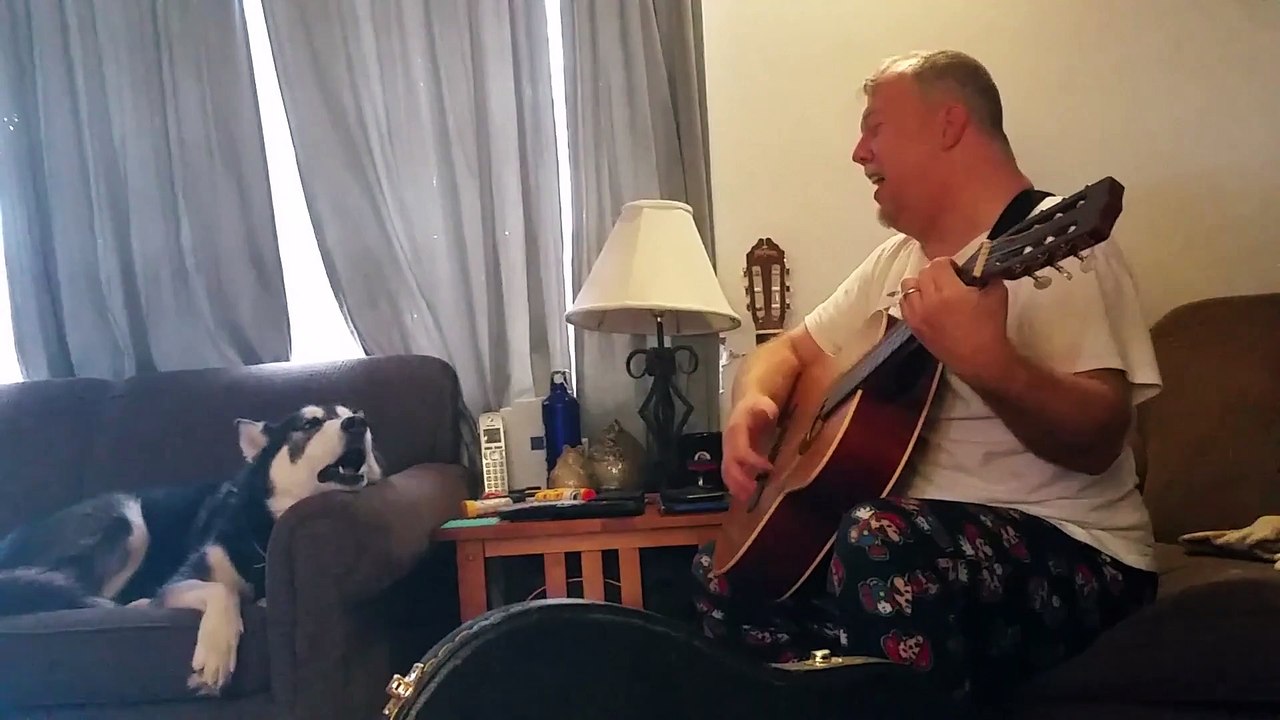Vocal Husky Joins The Sing Along