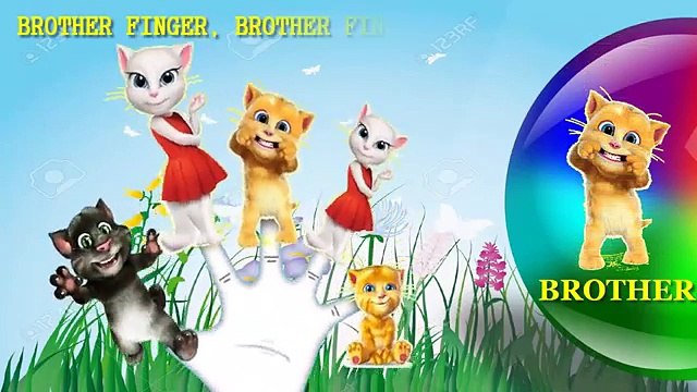 Talking Tom Finger Family Song [Nursery Rhyme] Finger Family Fun | Toy PARODY