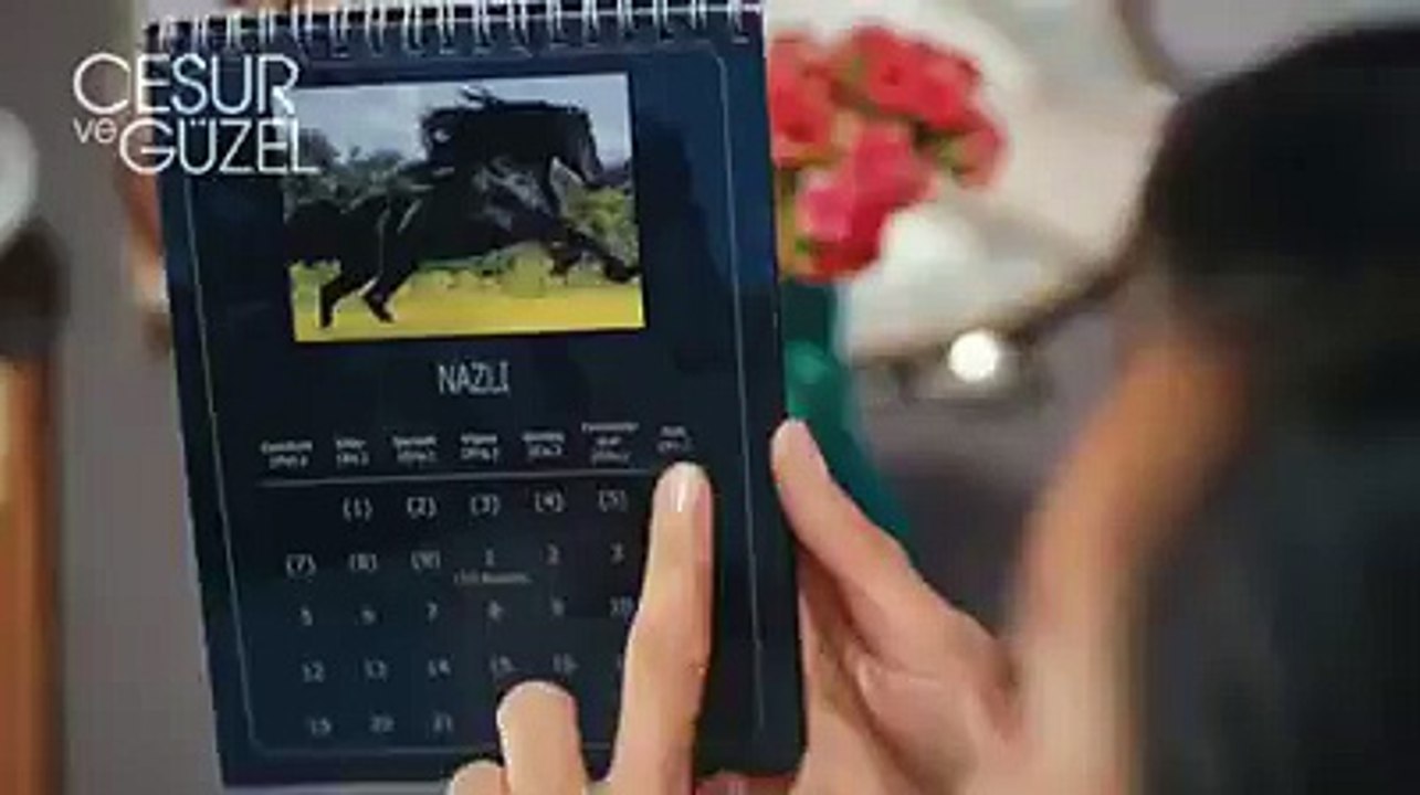 CesurveGüzel Aşk/The Ask