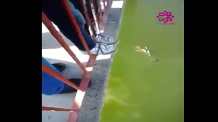 شاب يغامر بحياته من اجل إنقاد فتاة حاولت الإنتحار في مجرا الواد