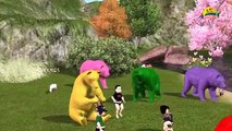 Learn colors lesson with Bear Nursery children learning colors with 3d Animals