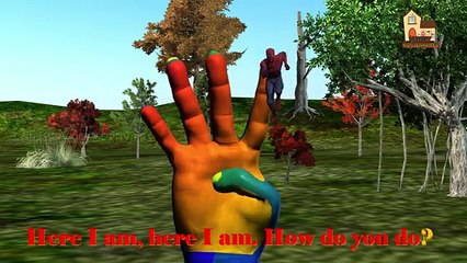 3d Spider Man Super heroes Nursery Kids Animated English Rhymes