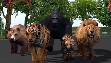 3d animals Finger Family Nursery Children 3d English Popular Rhymes | Finger Family Song