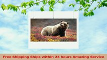 Grizzly Bear and Flowers 24x36 Giclee Gallery Print Wall Decor Travel Poster a7db3e9a