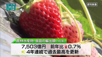 Mプラス 11 - 17.02.10