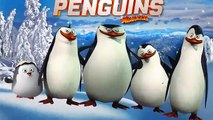 Penguins of Madagascar Finger Family | Nursery Rhyme for Children | 4K Video