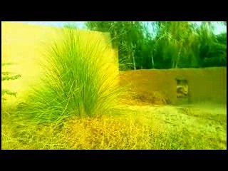 NEW SARIKI SONG 2017 BALOCH MOVIE CENTER BY SAFDER ABBAS MOBLIE 0343989560 HAMEED BALOCH