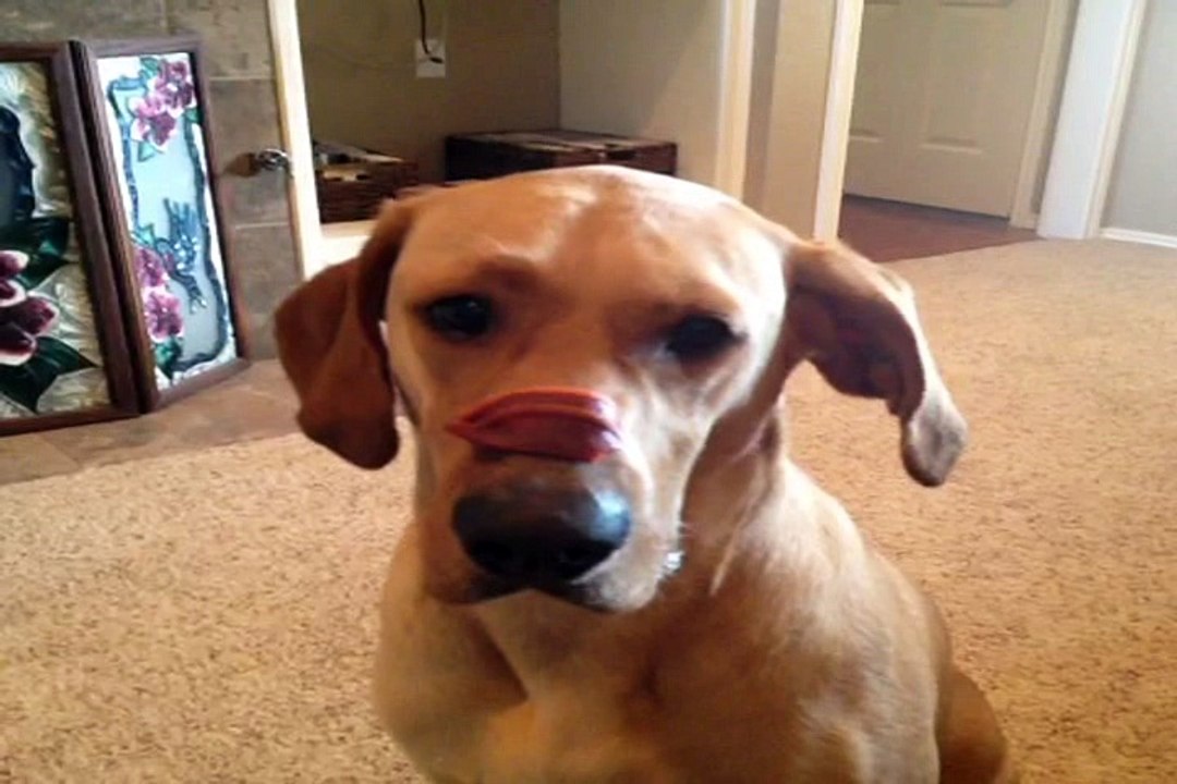 interesting moments of boop