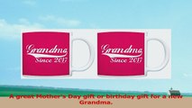 Gifts for Grandma Since 2017 New Grandma 2 Pack Gift Coffee Mugs Tea Cups Pink 9ceb8acf