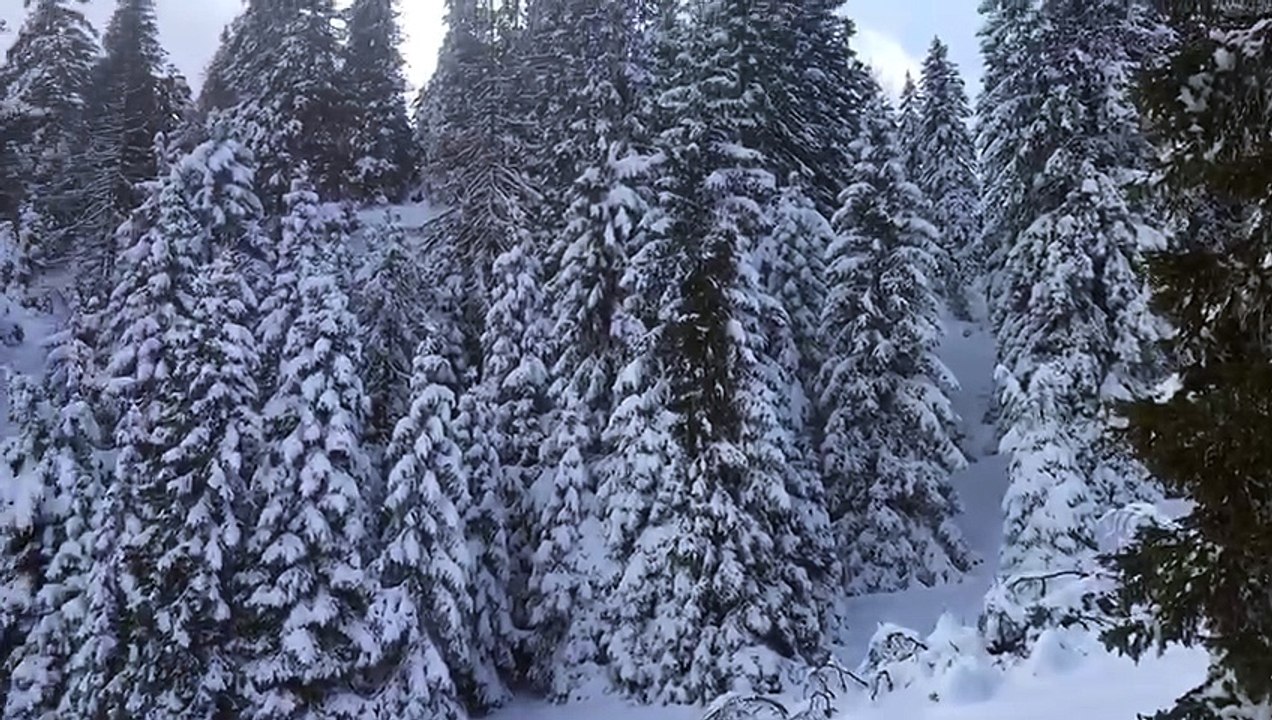 Dimas von der Wallmühle mit Herrchen Markus