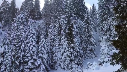 Dimas von der Wallmühle mit Herrchen Markus