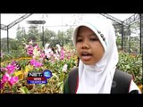 Destinasi Wisata Edukasi Kampung Anggrek di Kediri - NET12