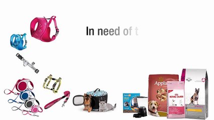 Dubai Pet Food Brands