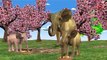 Animals Dragon,Gorilla,Bear,Tiger,Cheetah & Elephant Learning Sounds || 3D Animation Cartoon Rhymes