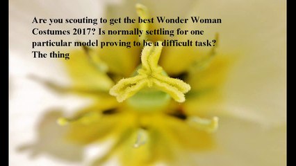 Best Wonder Woman Costumes reviews