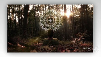 Origen Sagrada is  Leading Ayahuasca Healing Community