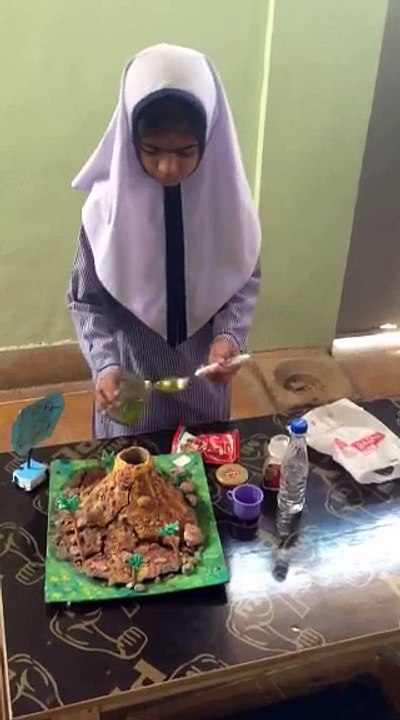 Embellish School System Science exhibition 2017 (Video 1)
