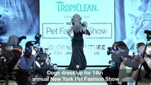 Pet Fashion Show kicks off alongside NY Fashion Week
