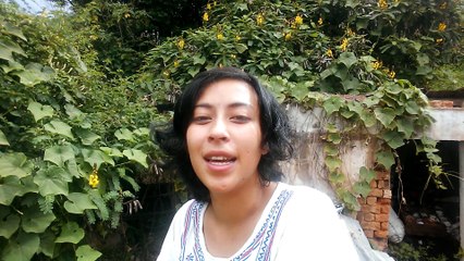 Dans mon histoire, j'ai voulu exposer le lien entre Madagascar et La Réunion