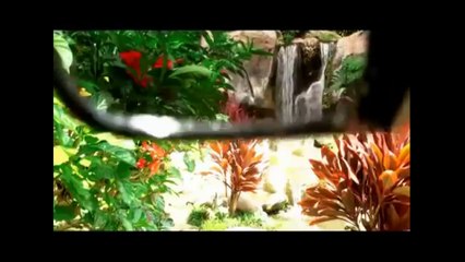 8BDC MARKETING EXCITING INCENTIVES