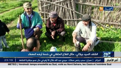 الشلف  السيد الجيلالي.. مثال الفلاح المتفاني في خدمة أرضه المعطاء