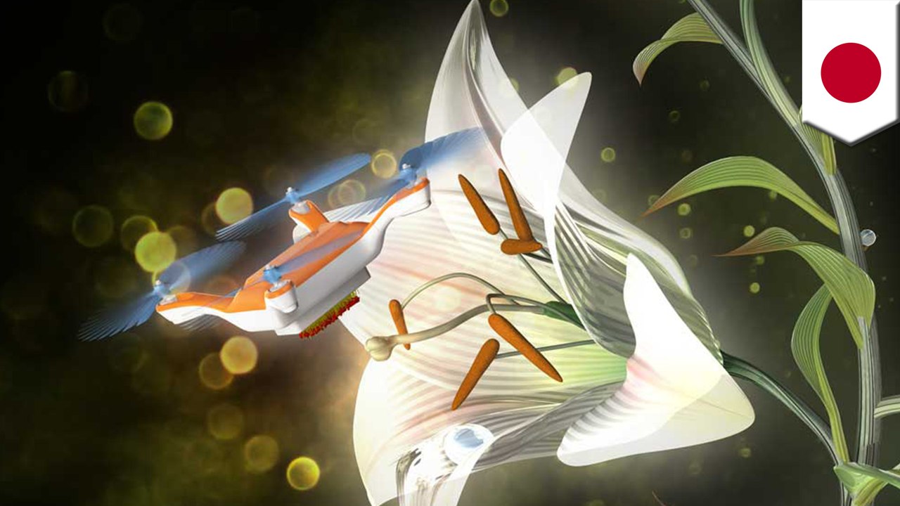 Robot bees could help boost pollination amid bee population decline