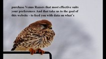 Best Venus Razors reviews