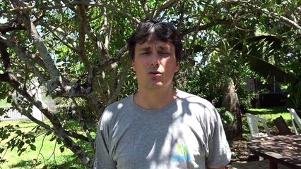 A La Réunion, nous avons 4 espèces d'oiseaux menacées d'extinction