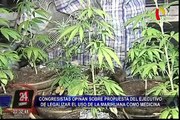 Reacciones tras propuesta de legalizar uso de marihuana como medicina