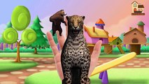 Animals Finger Family 3d Rhymes | Wild Animals sailing on the ship