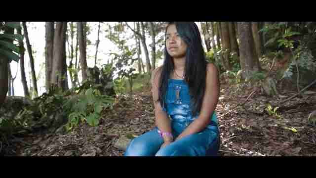 Alto el fuego , un documental sobre niños soldado de las FARC