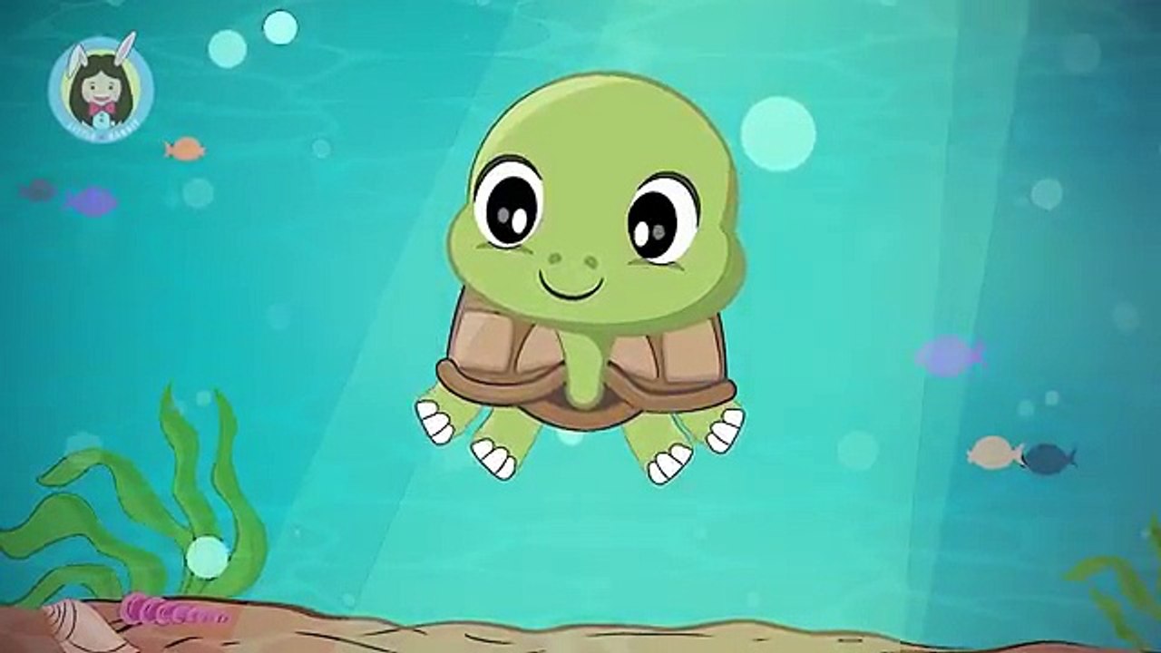 เพลงเต่า | เต่า มันมีสี่ขา | การ์ตูน เพลงเด็ก น่ารัก น่ารัก | Thai Kid Songs by Little Rabbit