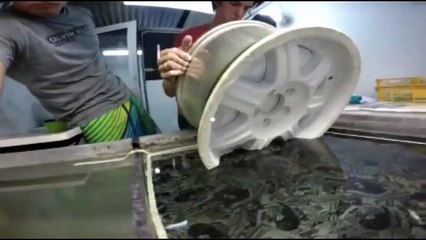 Curso de Pintura Hidrográfica