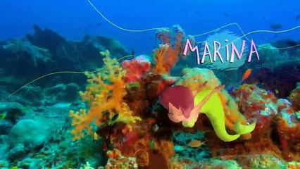 Zig & Sharko - Bernie moves house (S01E70) _ Full Episode in HD