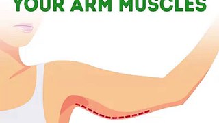 how to make your arms more powerful and beautiful with exercise