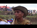 Kemeriahan Tradisi Pacu Jawi di Kabupaten Tanah Datar, Sumbar - NET5