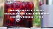 SANGRIA: CINCO  RECEITAS  DE  DRINKS  COM  VINHO  #01