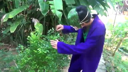 Frozen Elsa Eats Spider ! Spiderman vs Joker & Maleficent ! Funny Superheroes in real life